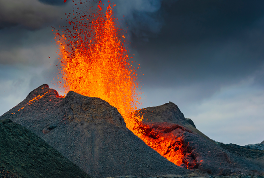 How Geothermal Drying Preserves Nutrients in Pet Treats