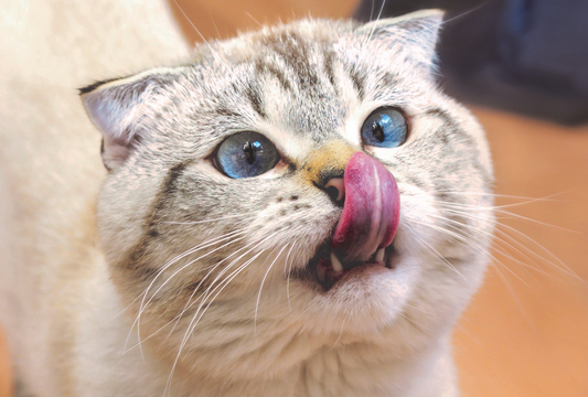 Allergy-Friendly Treats for Sensitive Pets