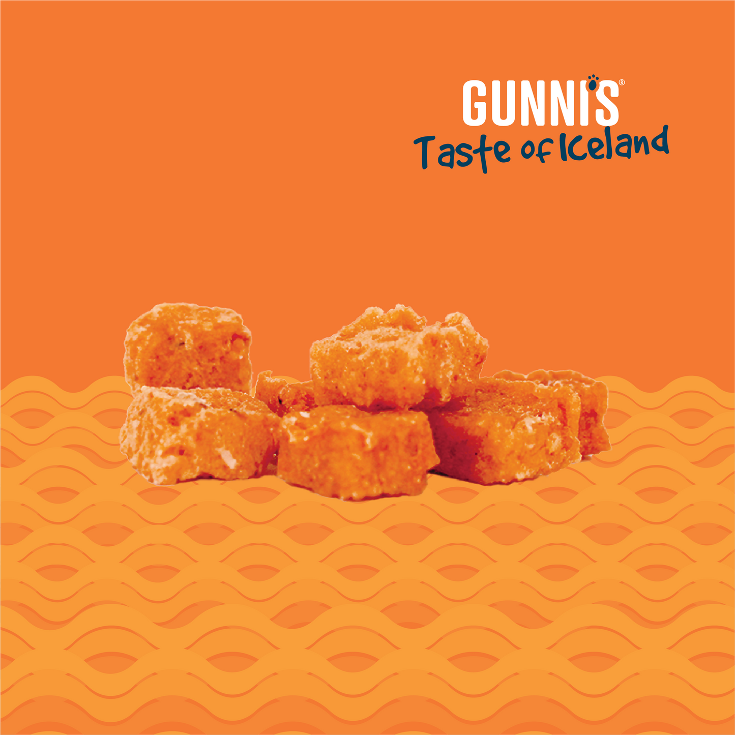 SALMON RECIPE BABY BITES