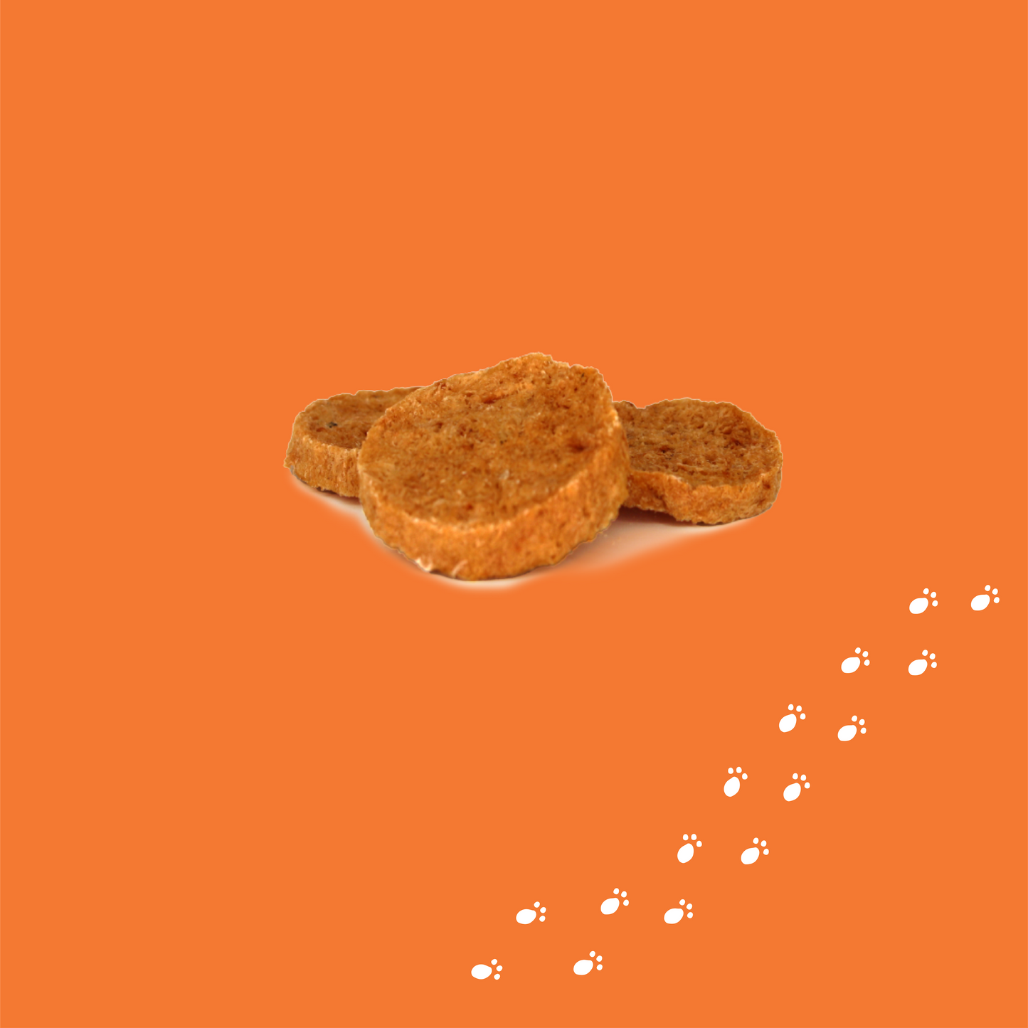 SALMON RECIPE WAFERS