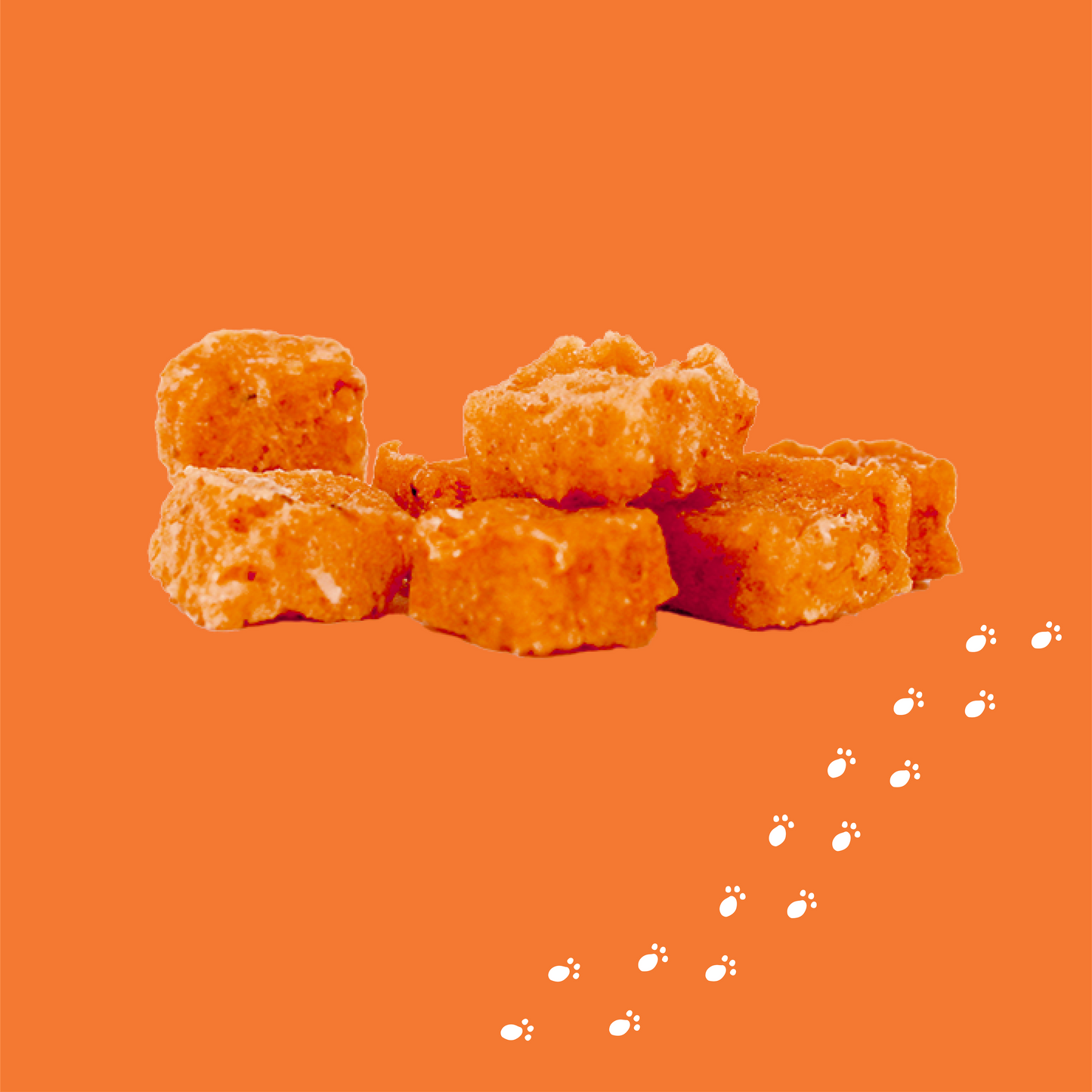 SALMON RECIPE BABY BITES