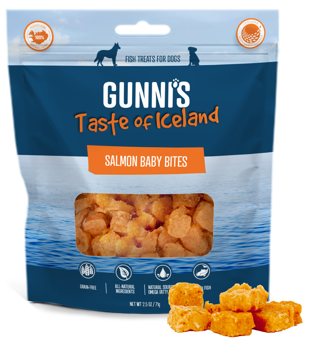 SALMON RECIPE BABY BITES