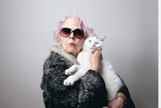 The Role of Fish Treats in Senior Pet Health