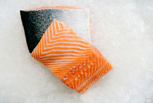 Why Protein in Treats Matters for Your Pet