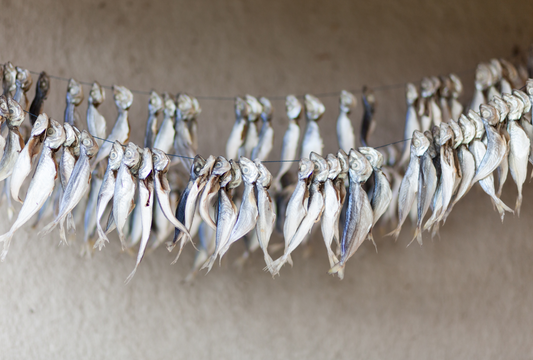 Treat Texture Matters: Why Air-Dried Fish Works