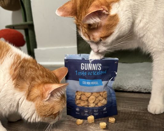 The Connection Between Healthy Treats and Pet Confidence