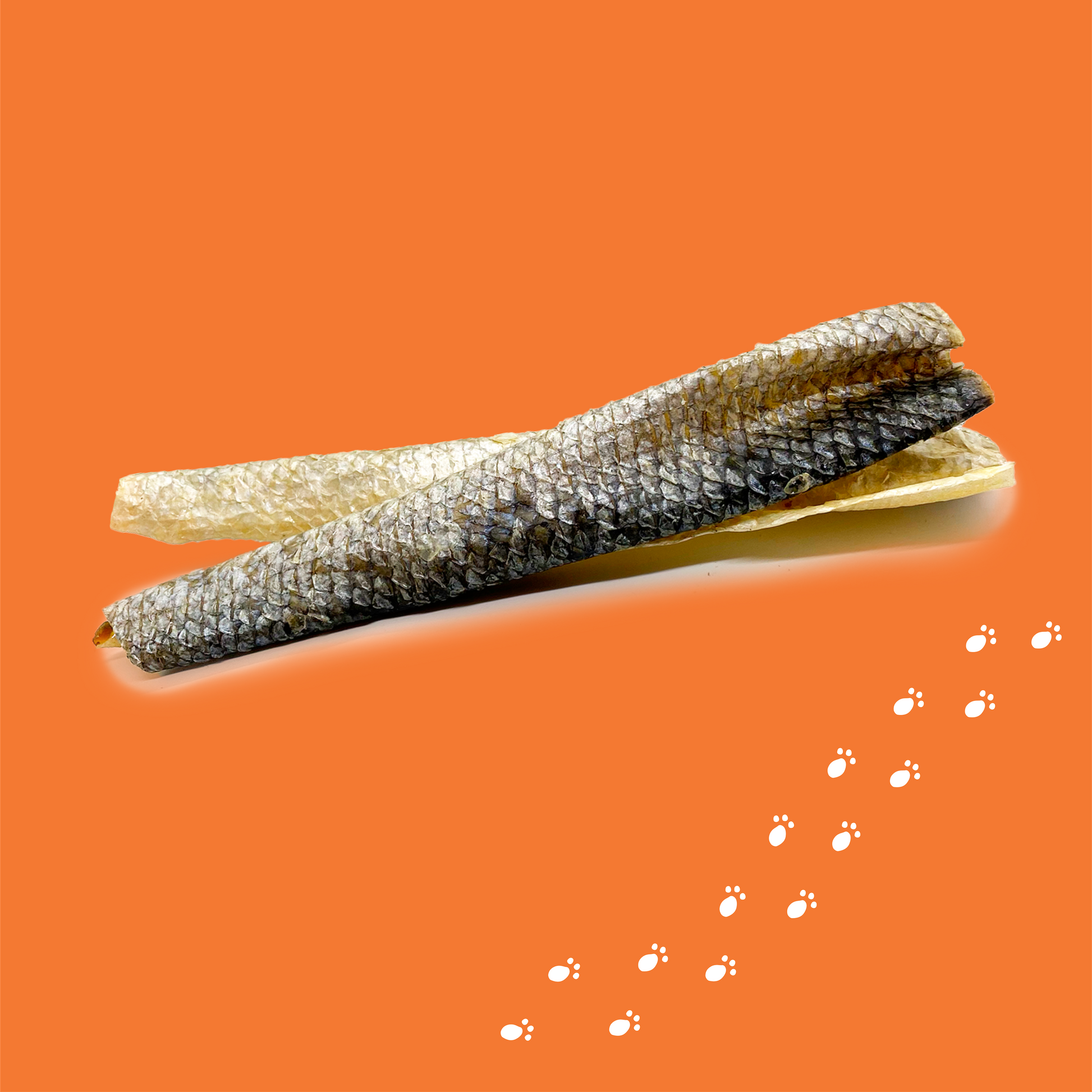 Salmon skin sales good for dogs