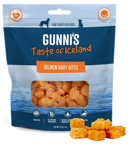 SALMON RECIPE BABY BITES